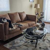 Photo of Dawn medwid's room