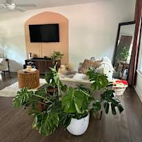 Photo of Delilah's room