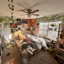 Photo of Paloma Gordon's room