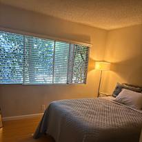 Photo of Alexis's room