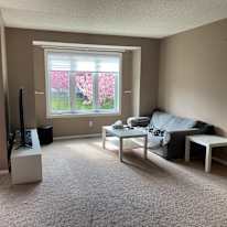 Photo of Tim's room