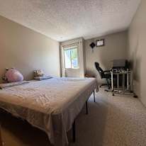 Photo of Tarek Hassan's room