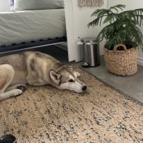 Photo of Chay's room