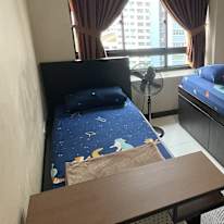 Photo of Dino's room
