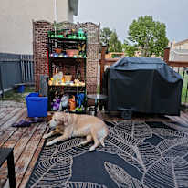Photo of Cat's room