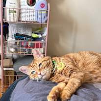 Photo of Leo's room