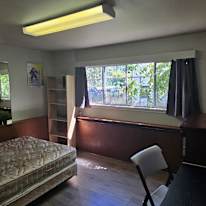 Photo of Rex's room