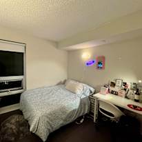 Photo of Sharmistha's room