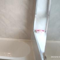 Photo of Anirudha kullarwar's room