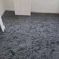 Photo of nina parekh's room