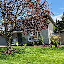 Photo of Nicolas's room