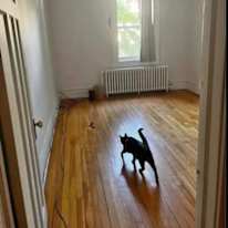 Photo of Callie's room