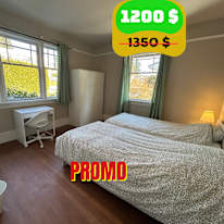 Photo of Shirin's room