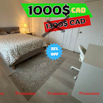 Photo of Shirin's room