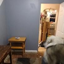 Photo of Shayne's room