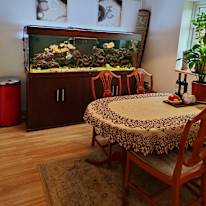 Photo of Waldemar's room