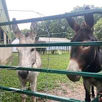 Photo of Mary-Anne Molzan's room