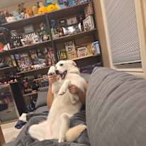 Photo of Sherina's room