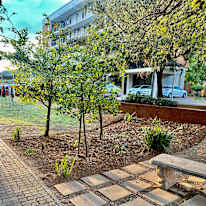 Photo of Ncedile Clifford Mahwayi's room