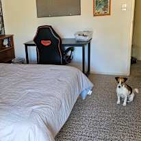 Photo of Christine's room