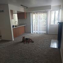 Photo of Caleb's room