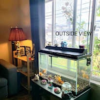 Photo of Veronica Choudhary's room