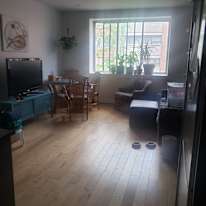 Photo of Feliz's room