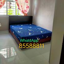 Photo of Liew's room