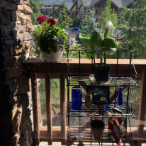 Photo of Audrey's room
