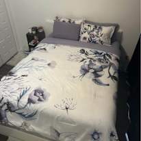 Photo of Nessa's room