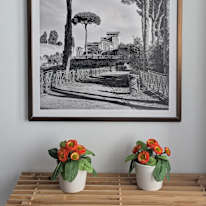 Photo of MD's room