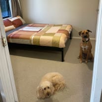 Photo of Sam Hanson-Chong's room