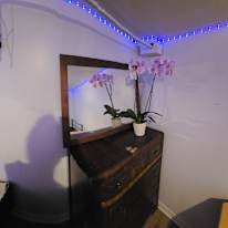Photo of Achilles's room
