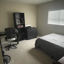 Photo of Dusty's room