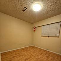 Photo of David's room