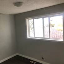 Photo of Jo's room