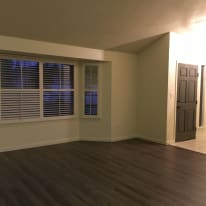 Photo of Jonelle's room