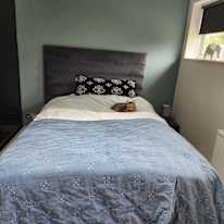 Photo of Narinda Bisla's room