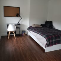 Photo of Steve's room