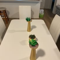 Photo of Carmen's room