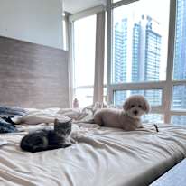 Photo of Marina Gerges's room