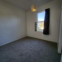 Photo of rex's room