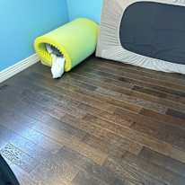 Rajdeep Khaira's room