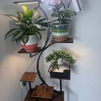 Photo of Delia Rodriguez's room