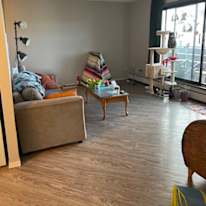 Photo of Anne's room