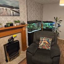 Photo of Mel's room