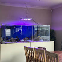 Photo of Luciana's room
