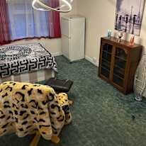 Photo of Tunde Rajnaine Czegel's room
