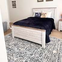 Photo of Sara  Bonakdar's room