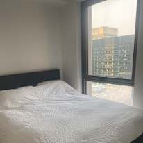 Photo of Koko's room